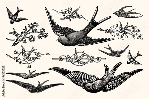 Vintage Bird Vector Line Art - Early 1800s Decorative Illustrations