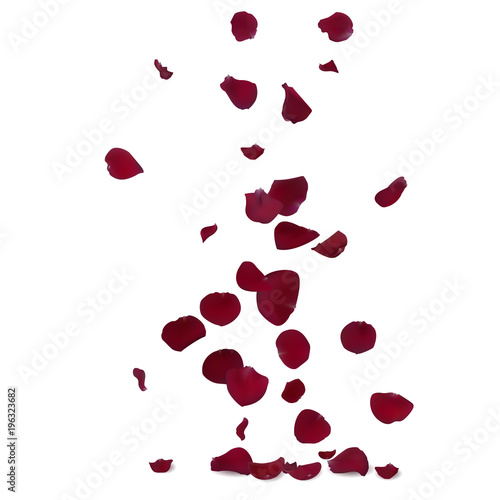 Red rose petals fly down. Light background. Floral design. Vector illustration.