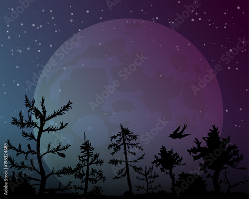 Big moon on night sky background. The Nightly forest with the bird. The stars Shine brightly. Vector illustration.