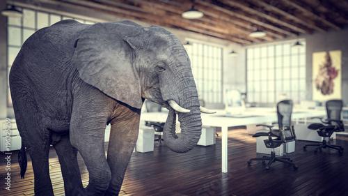  large elephant inside a modern office, concept of unsolved and avoided problems.