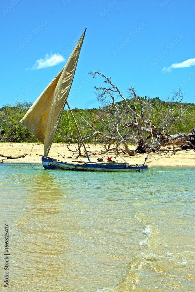 Obraz premium pirogue beach seaweed in indian madagascar