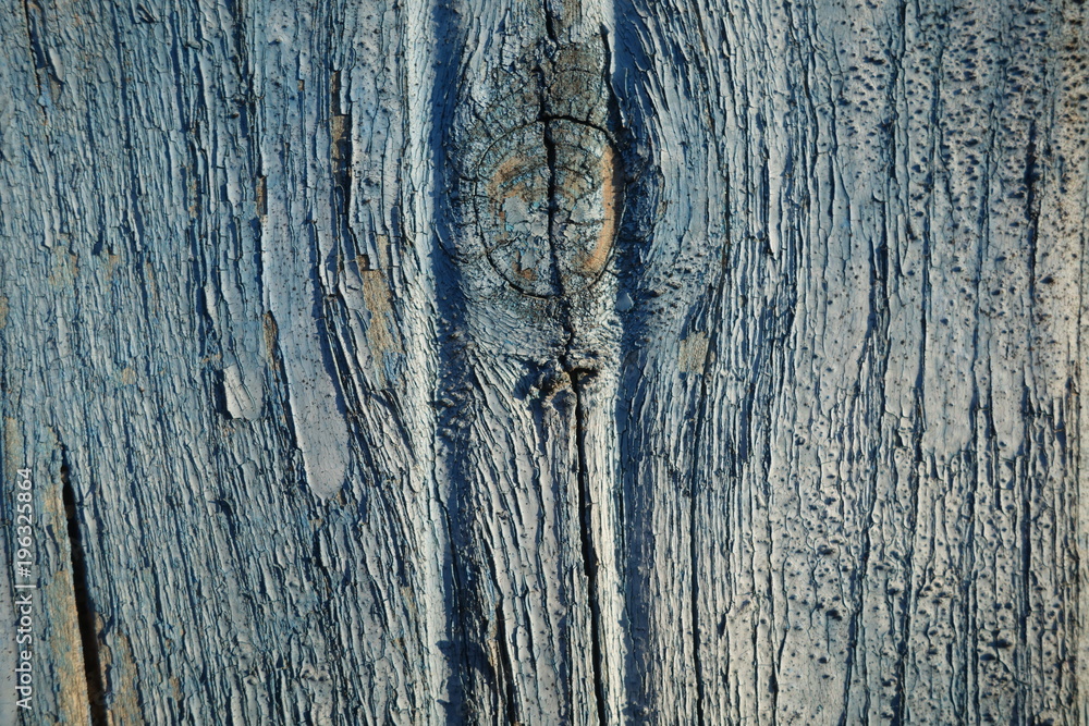 Obraz premium The texture of old wood. Weathered piece of wood. Background of old wood.