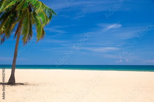Fototapeta Naklejka Na Ścianę i Meble -  tropical beach in southern part of Sri Lanka in sunny day.