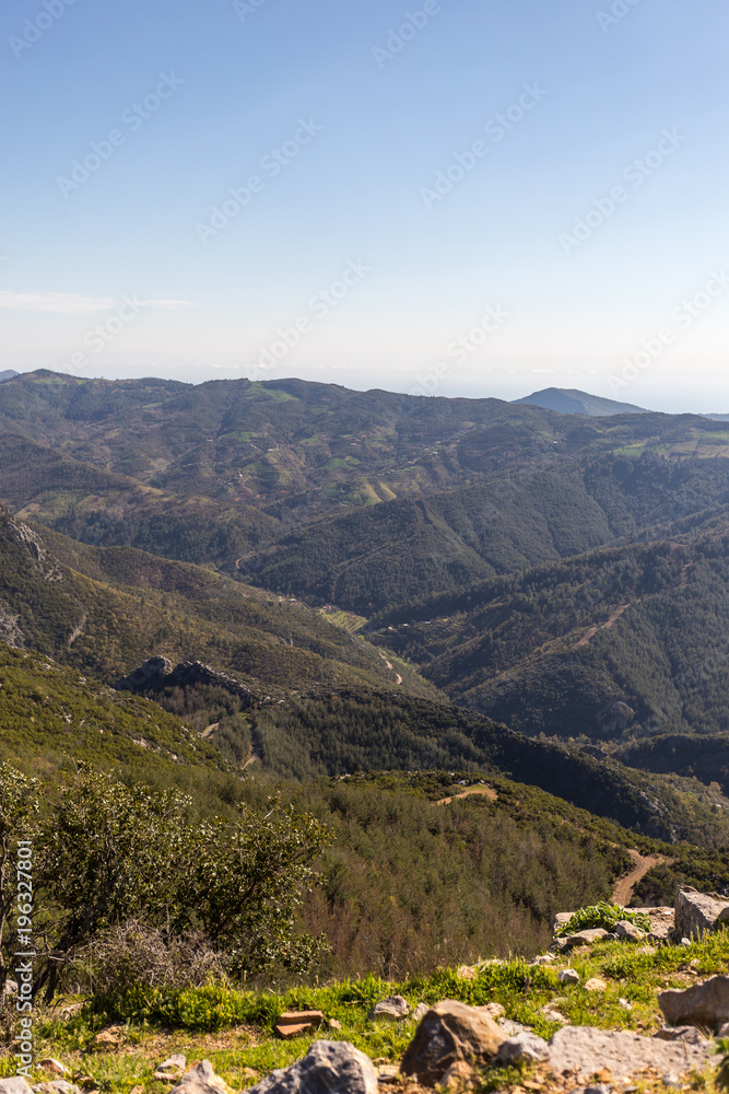 Obraz premium Vertical mountain landscape