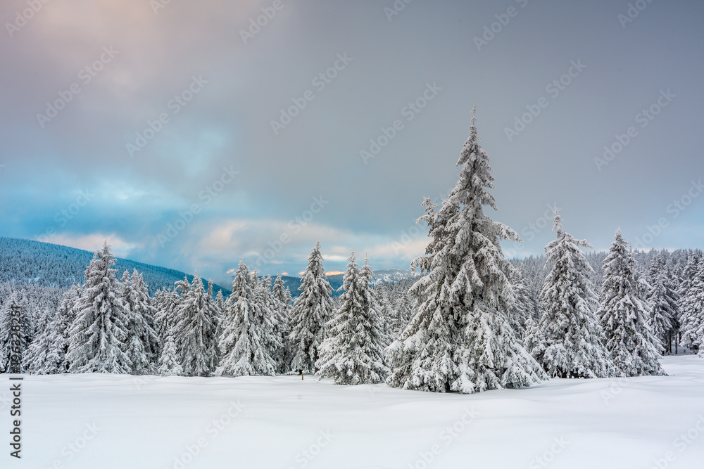 Obraz premium Winter in Moutains 