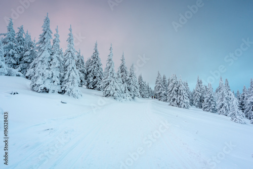 Winter in Moutains  © PawelUchorczak