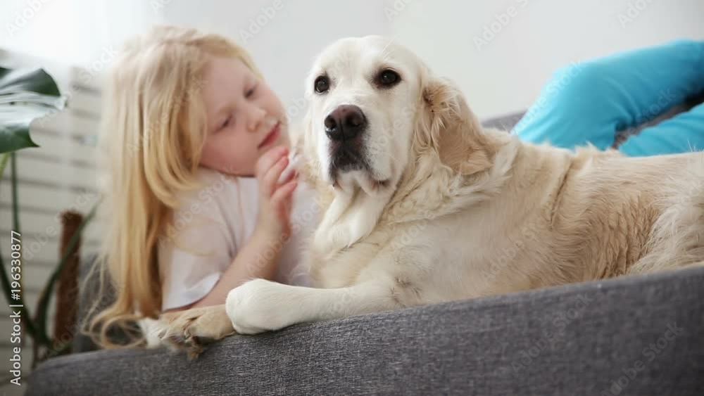 care for pets. A blonde girl strokes her dog with love in the living room. happy golden retriever in the family. care for pets. A blonde girl strokes her dog with love in the living room. happy golden retriever in the family.