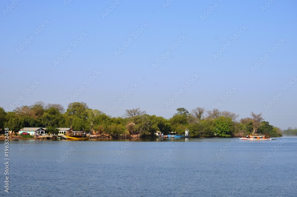 Obraz premium Mangrove sur les rives de Janjangbureh (Gambie)
