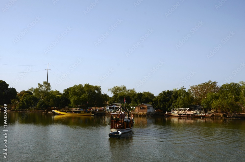 Mangrove sur les rives de Janjangbureh (Gambie)