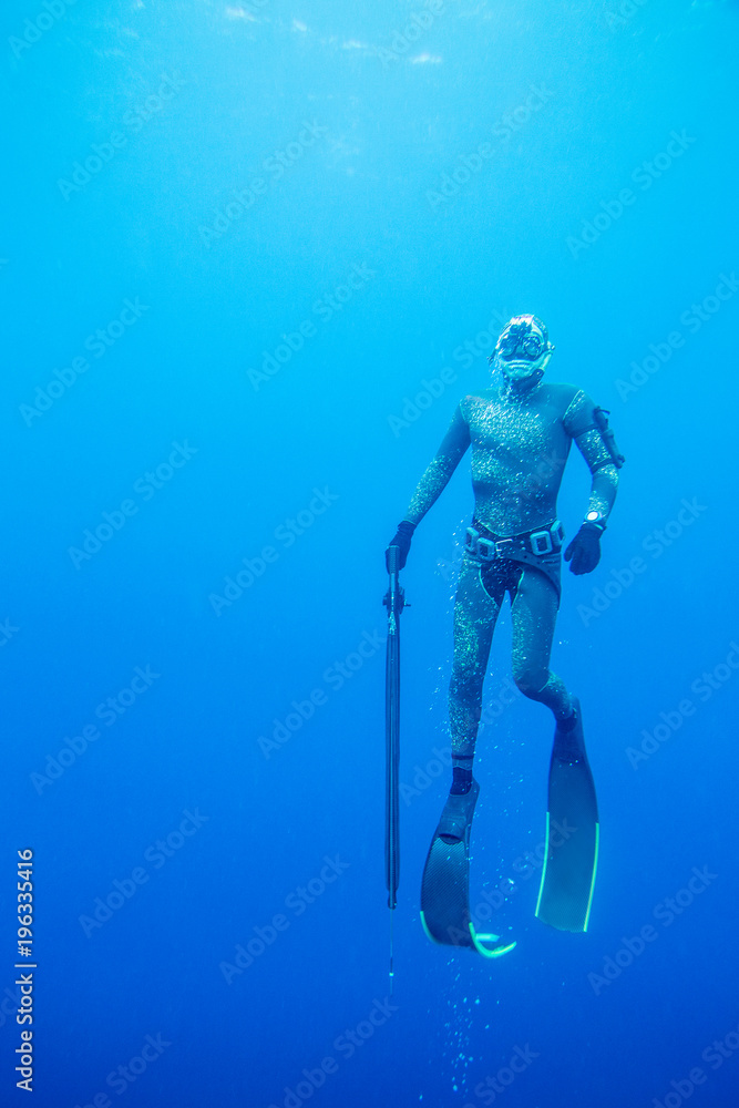 Fototapeta premium spearfishing in ocean