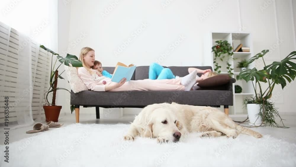 life of domestic pets in the family. mother reads the book to the children. the golden retriever lies on the floor. focus on the dog. life of domestic pets in the family. mother reads the book to the children. the golden retriever lies on the floor. focus on the dog.
