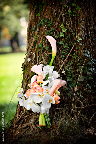 Wedding bouquest of white orchids and pink roses in the park photo