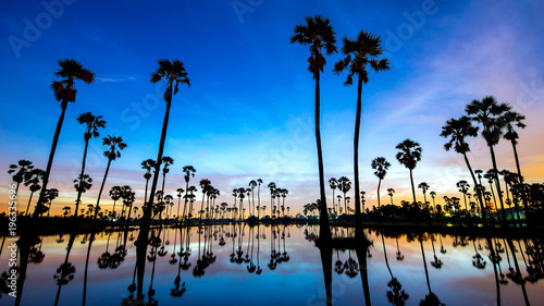 beautiful sunset reflection of silhouettes Palm tree , landscape thailand