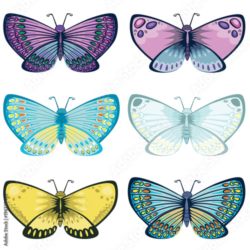 Detailed Butterfly Illustrations Vector Set Isolated on White © Kristina Jovanovic