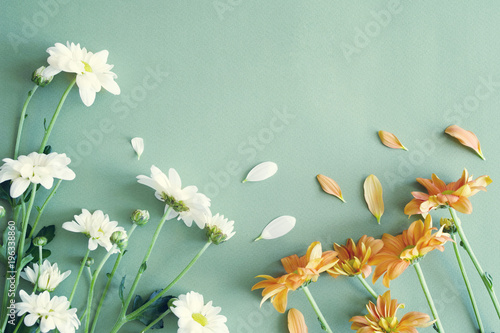 Valokuva White and orange flowers of a chrysanthemum on a paper, top view, copy space