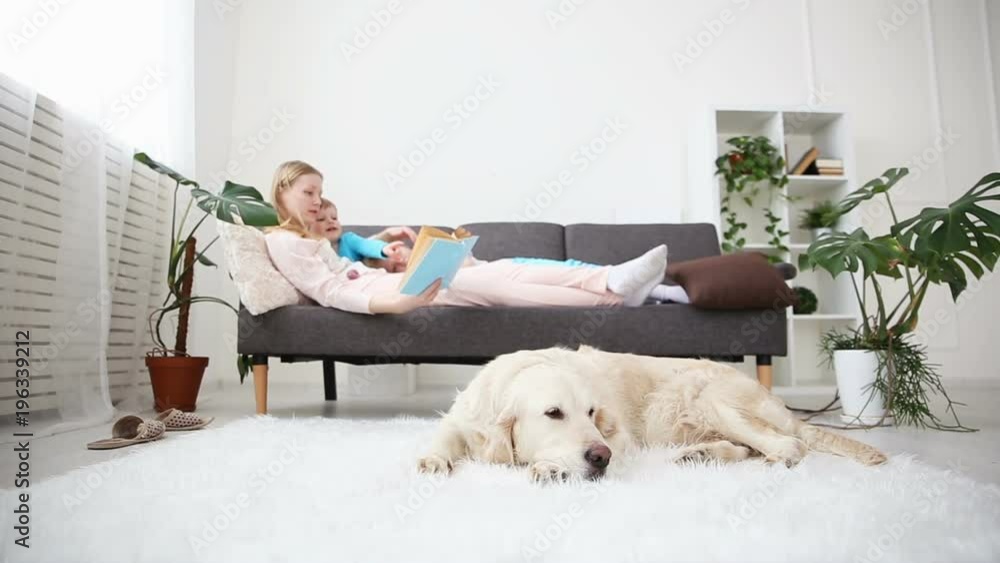 life of domestic pets in the family. mother reads the book to the children. the golden retriever lies on the floor. focus on the dog. life of domestic pets in the family. mother reads the book to the children. the golden retriever lies on the floor. focus on the dog.