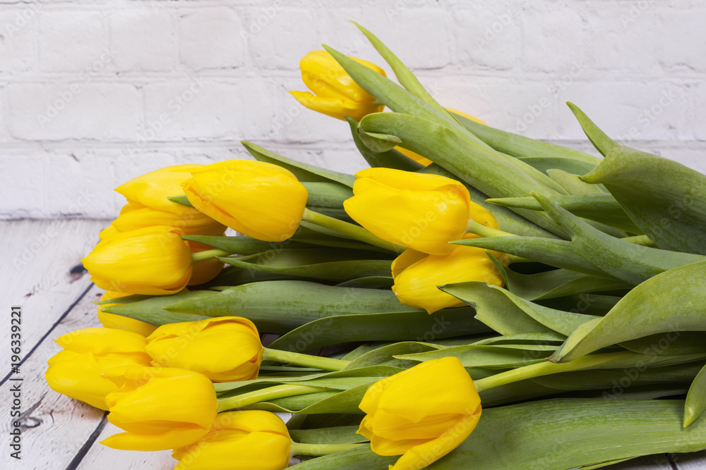 Naklejka premium Yellow tulips. Macro shot