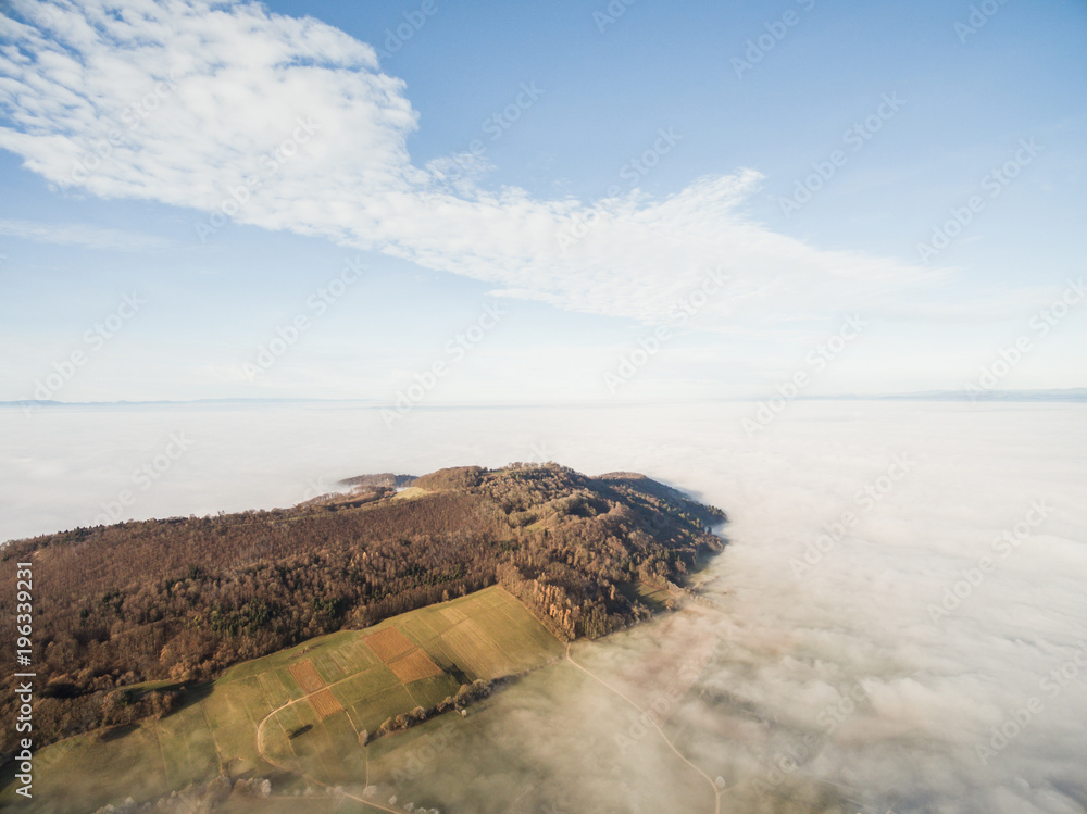 aerial view of beautiful forest and green fields in fog, Germany aerial view of beautiful forest and green fields in fog, Germany