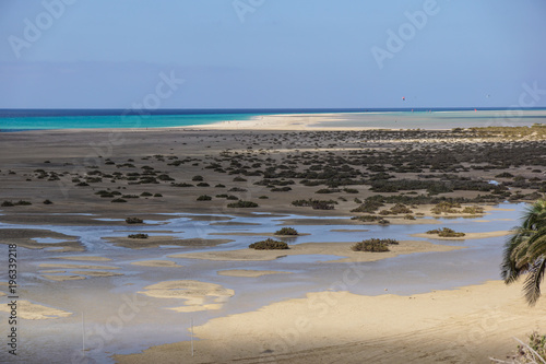 Mud flats at low tide off the coast of canary island photo