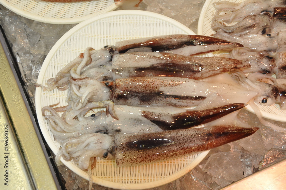 イカ Stock Photo Adobe Stock