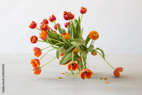 Fototapeta Naklejka Na Ścianę i Meble -  Withering tulips