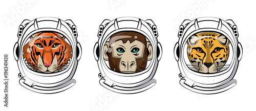 Wild animals heads cartoon vector illustration graphic design