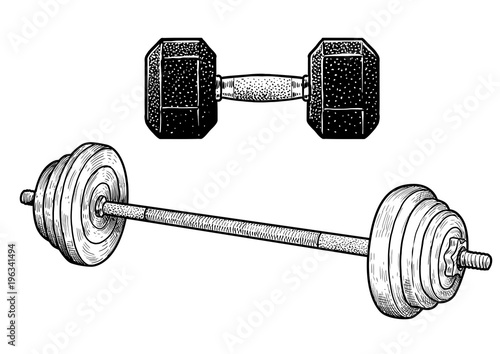 Dumb-bell illustration, drawing, engraving, ink, line art, vector