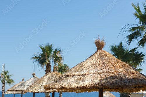 Straw umbrellas with palm trees on the beach against the sea and sky