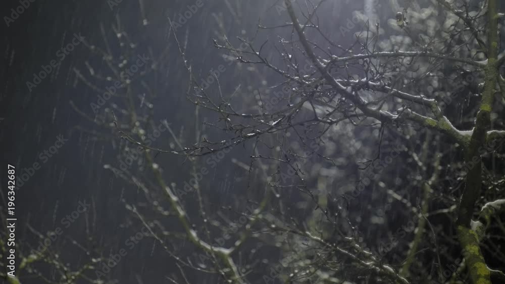 Snow falling in the light of the lantern Snow falling in the light of the lantern