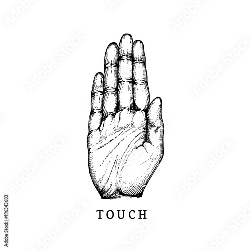 Hand drawn icon of Touch sense in engraved style. Vector illustration of tactile symbol Hand