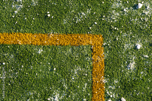 Green growing grass in snow. Sport background