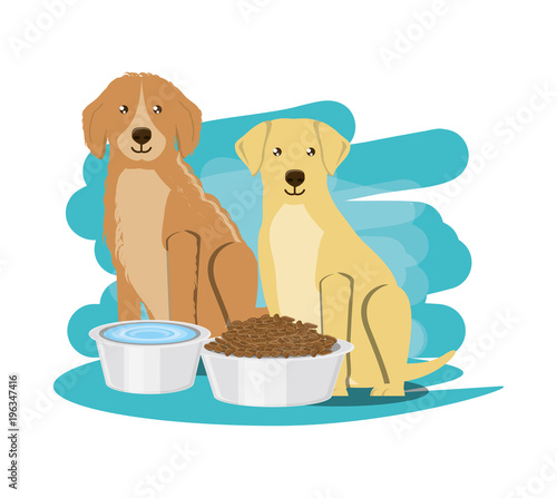 golden and labrador retriever dogs with food bowls over white background, colorful design vector illustration