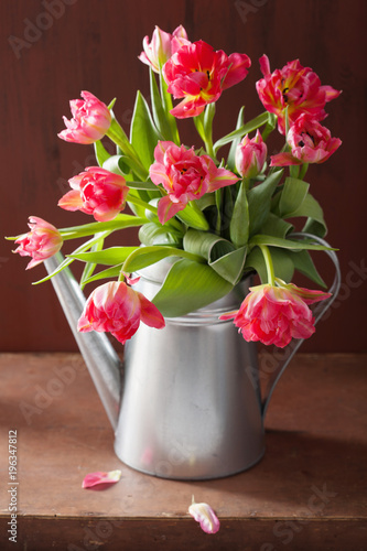 Fototapeta Naklejka Na Ścianę i Meble -  beautiful pink tulip flowers bouquet in watering can