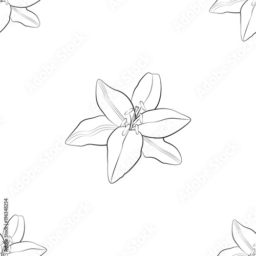 Design of seamless wallpaper, graphic drawing of a flower