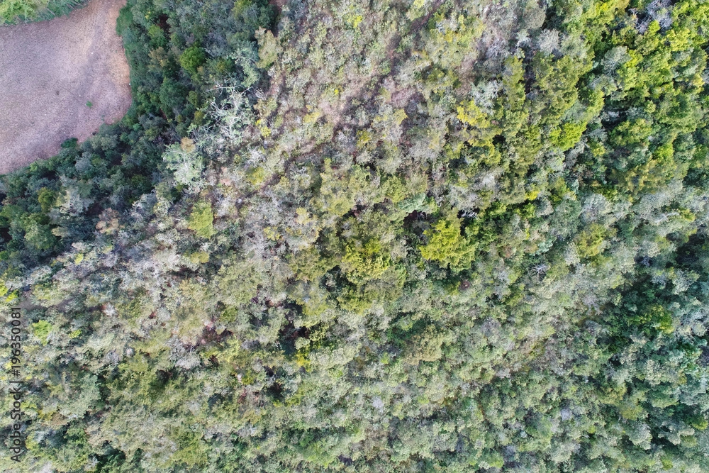 Fields aerial view Fields aerial view