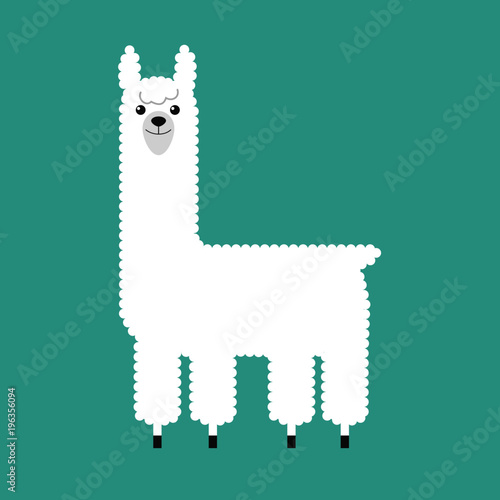 Lama Illustration