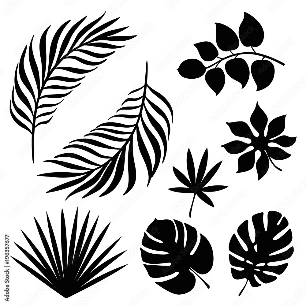 tropical palm leaves silhouette set tropical palm leaves silhouette set