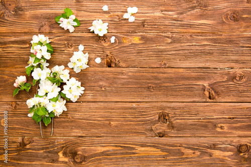 Spring flowers of blossoming apple tree branches on rustic wooden background. Top view © Alik Mulikov