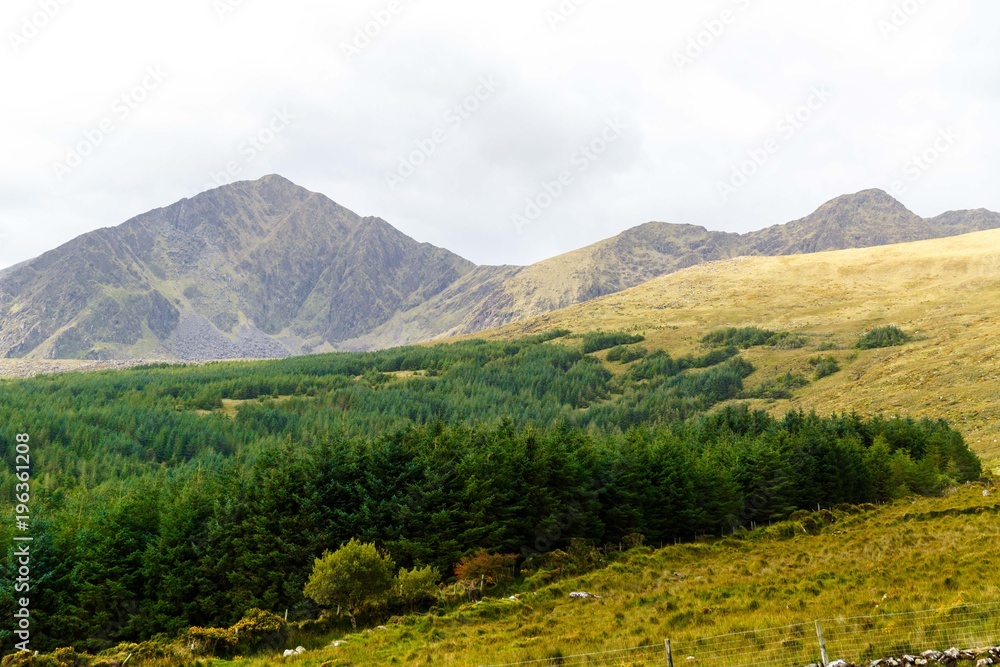 Mountains on mossy range