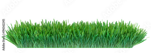 Green grass. Natural grass texture background. Meadow. Spring, summer season. Plant growth 3d rendering