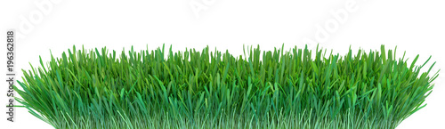 Green grass. Natural grass texture background. Meadow. Spring, summer season. Plant growth 3d rendering