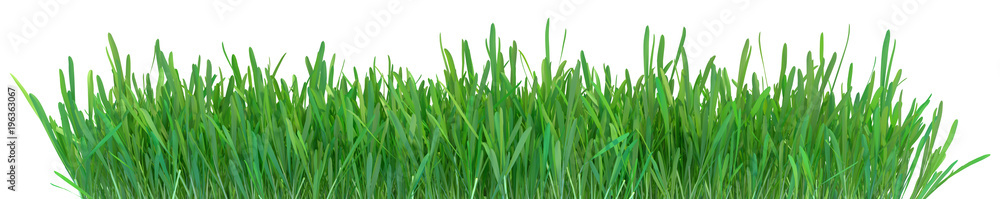Green grass. Natural grass texture pattern background. Meadow. Spring, summer season. Plant growth 3d rendering Green grass. Natural grass texture pattern background. Meadow. Spring, summer season. Plant growth 3d rendering