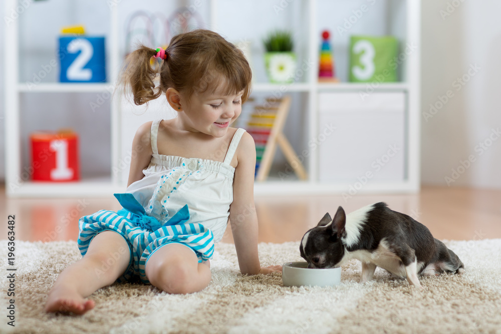 Three years old child toddler sitting on carpet and feeding his little dog Three years old child toddler sitting on carpet and feeding his little dog