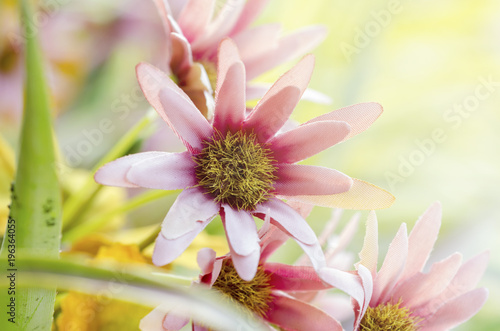 Artificial flowers with blurred background