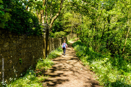 guernsey cliff walk