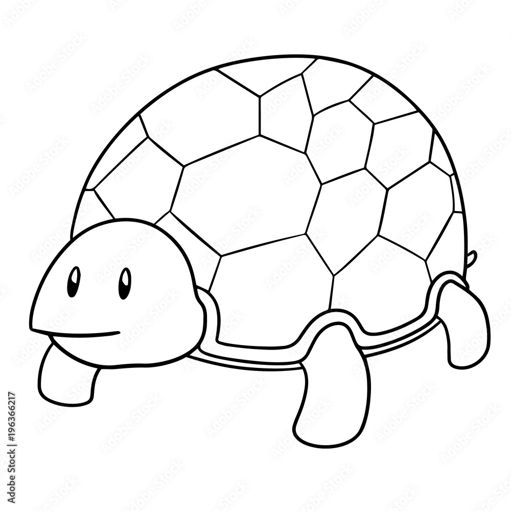 Fototapeta premium vector of turtle