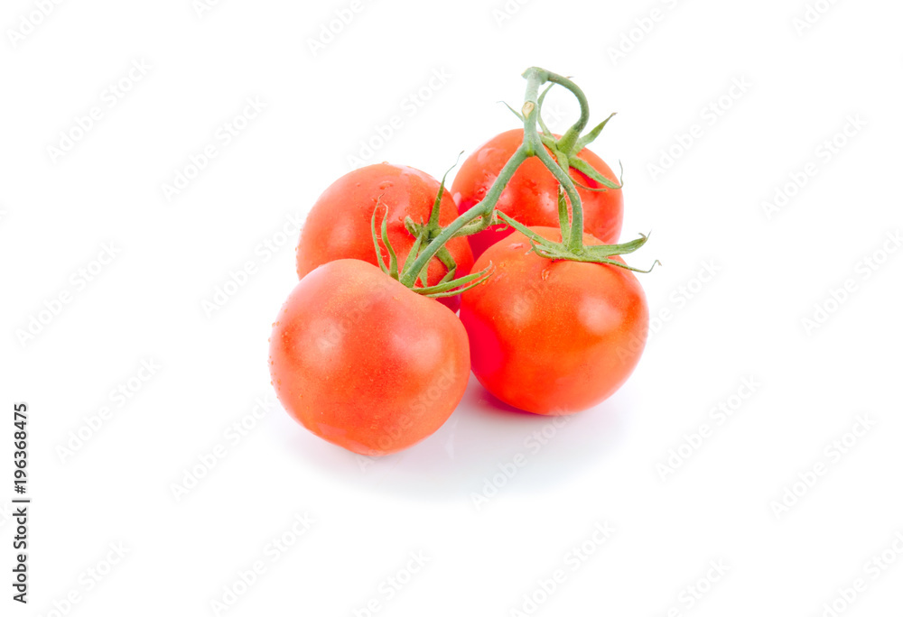 Closeup of tomatoes on the vine isolated on white Closeup of tomatoes on the vine isolated on white