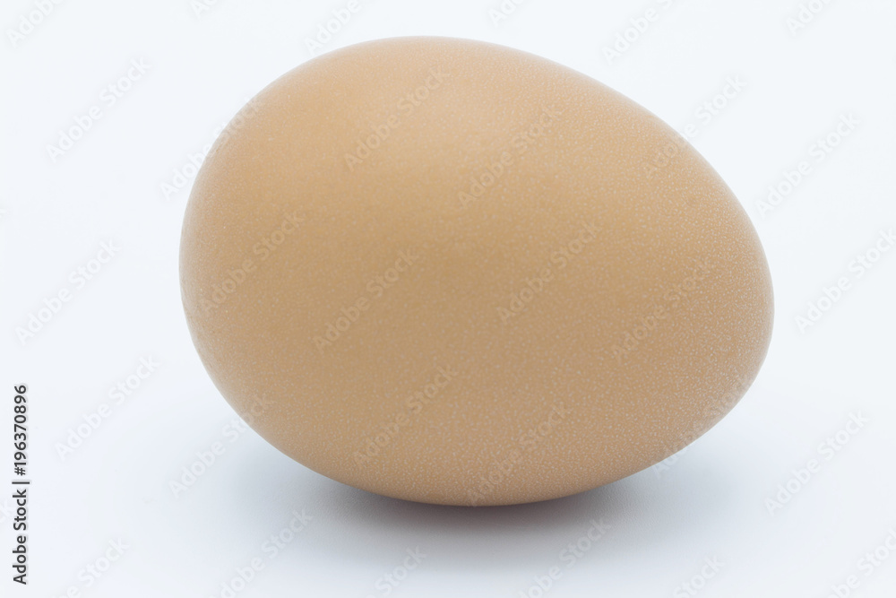 Egg isolated on white background. Egg isolated on white background.