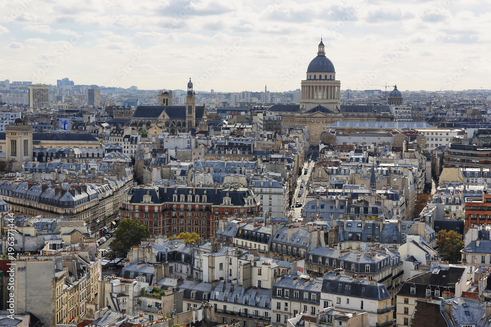 Paris seen from the top of Notre Dame
