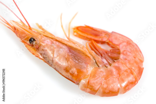Fresh prawn or fresh shrimp isolated on white background, Food background.